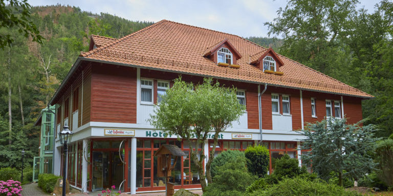 Kurpark Flair Hotel Im Ilsetal